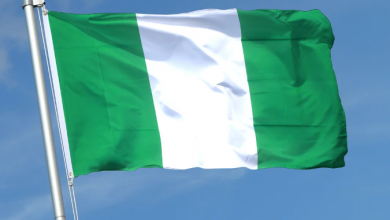 NIGERIA flag onlinepikin files