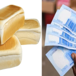 Politicians bought votes with Bread, N5,000 at Edo Polling Units - CSOs