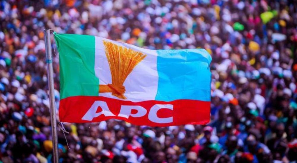 Kaduna electoral commission declares APC winners of 23 LGs