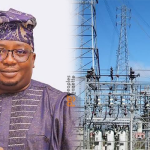 Nigerians don't complain about N1000/litre petrol due to improved electricity - Power Minister, Adelabu