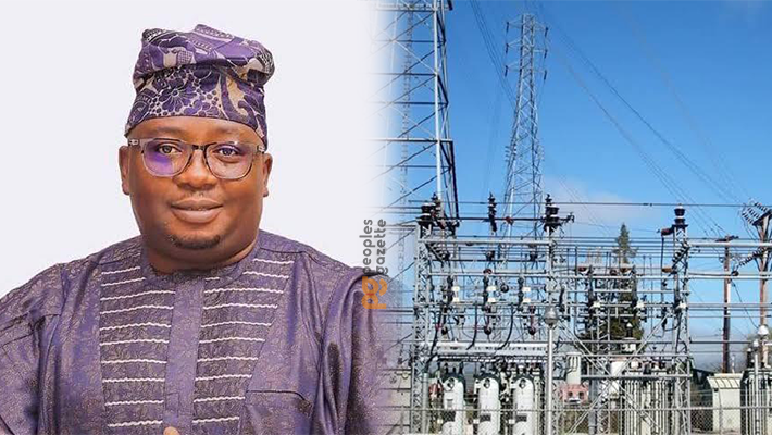 Nigerians don't complain about N1000/litre petrol due to improved electricity - Power Minister, Adelabu