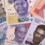 Naira among worst performing currencies – World Bank