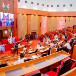 BREAKING: Senate confirms Bianca Ojukwu, others as ministers