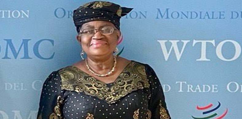 No opposition as Okonjo-Iweala seeks second term at WTO