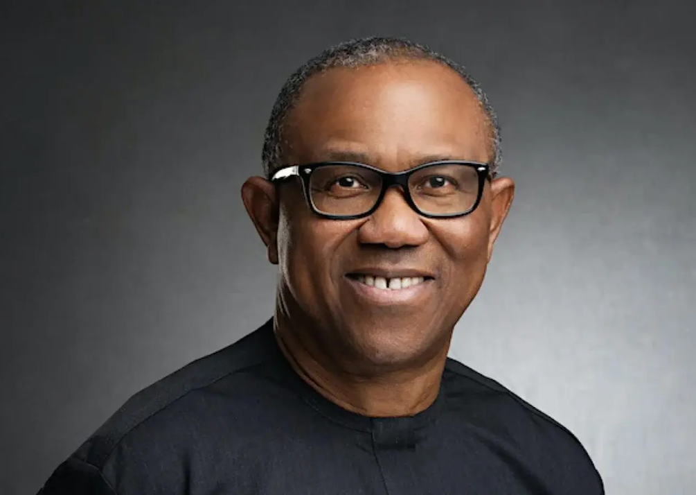 Peter Obi can become president in 2027 - Obidient Coordinator