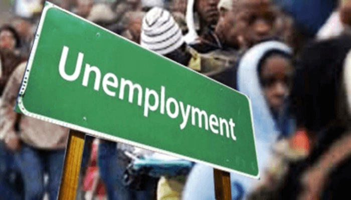 Unemployment rate dropped by 4.3% in Q2 – NBS