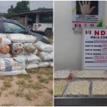 NDLEA Seizes Cocaine Worth N4bn At Lagos Airport