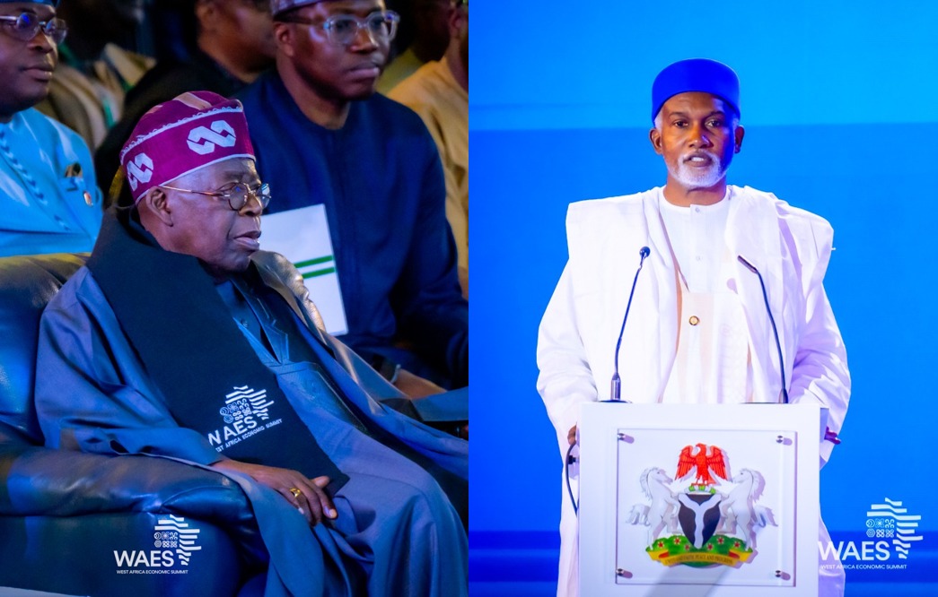ECOWAS members have rare minerals that can shape future development — Foreign Affairs Minister, Tuggar